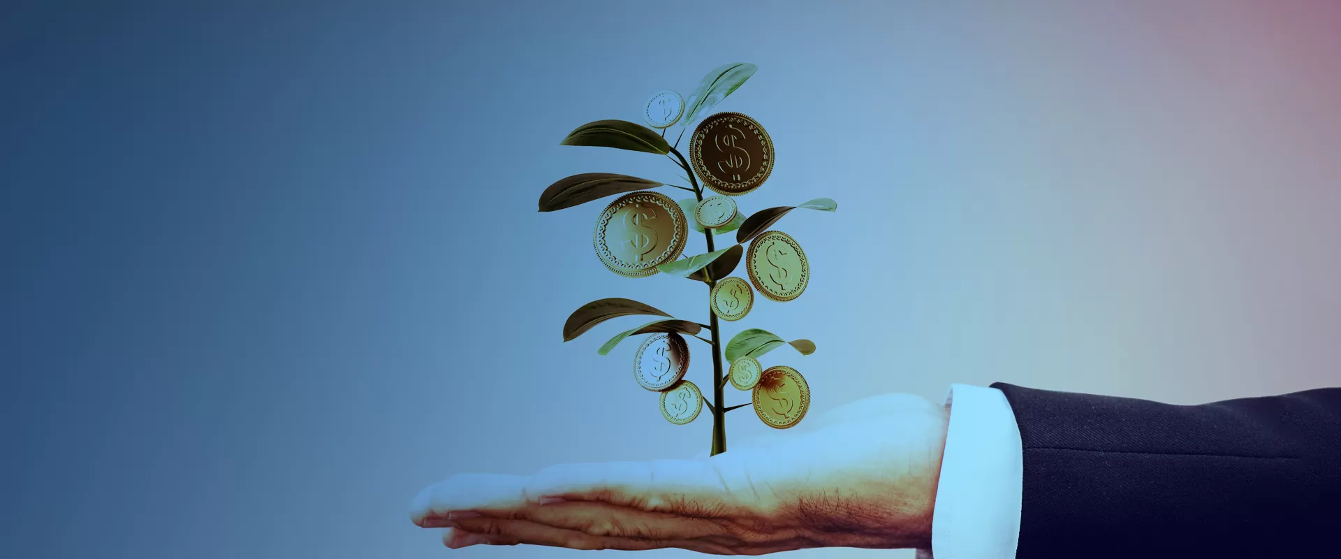 Onak Mali Müşavirlik ve Danışmanlık Hizmetleri